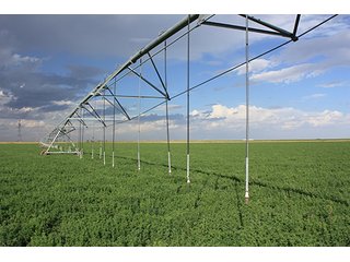 Property photo 7 - LAND AUCTION, 3255+/- Acres offered in 13 Tracts